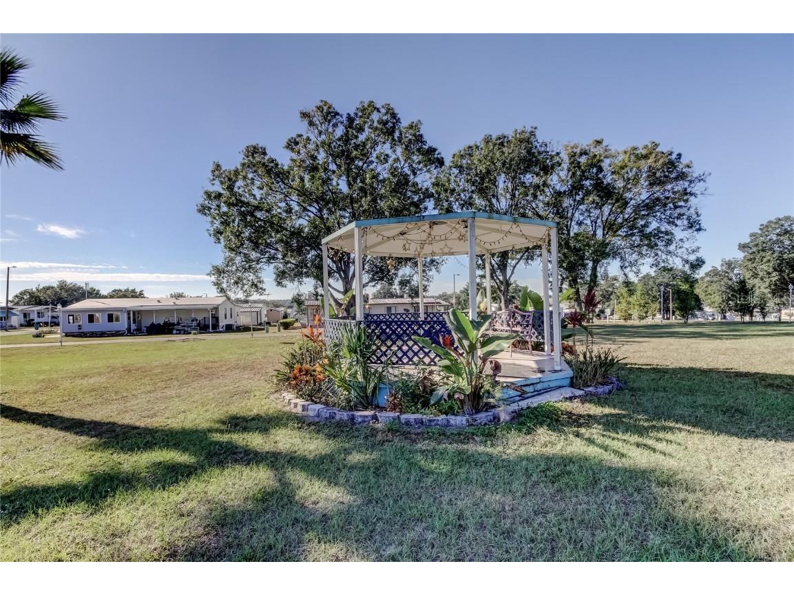 10151 Hamp Drive Dade City FL 33525 TB8446247 image47