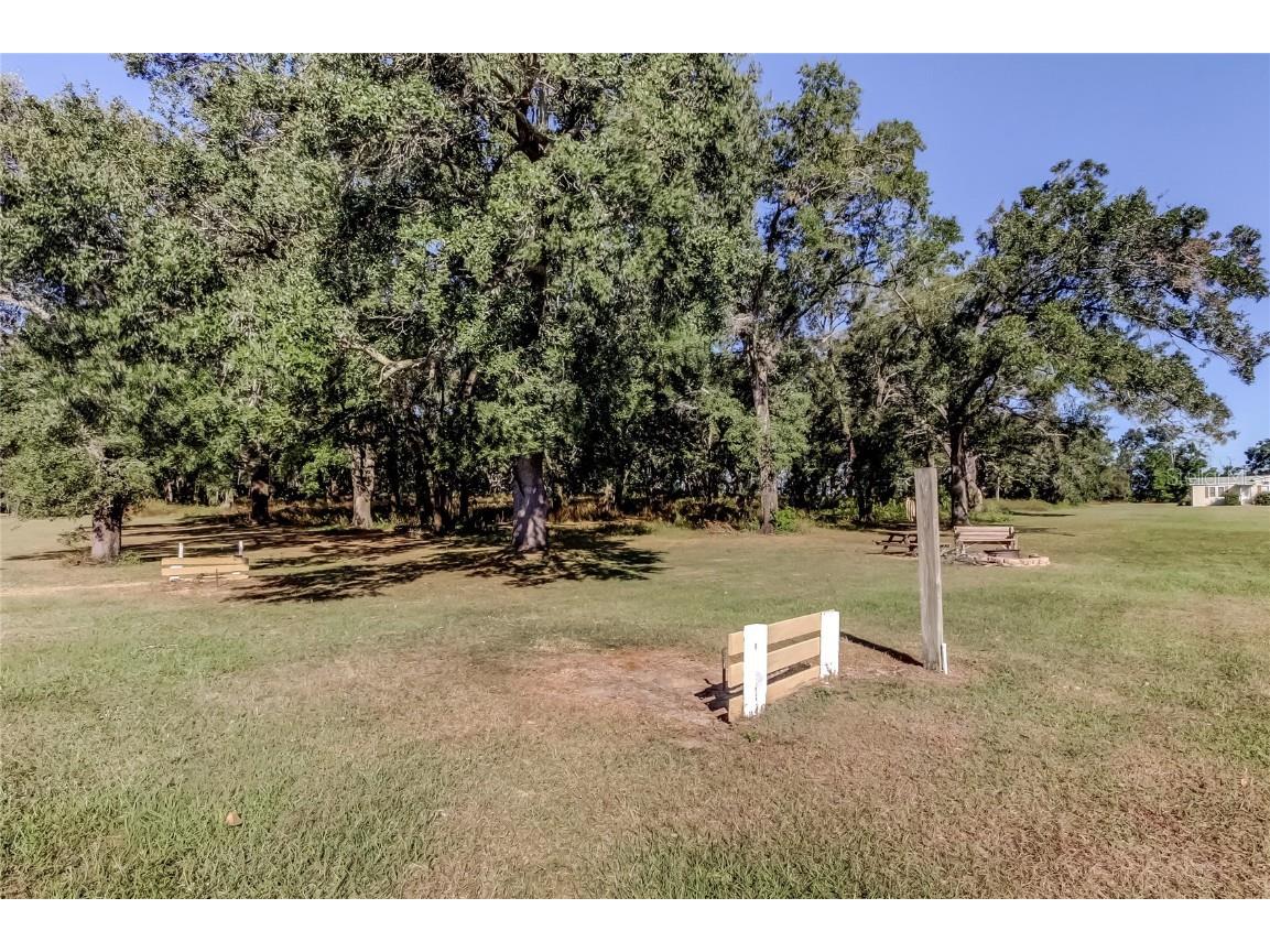 10151 Hamp Drive Dade City FL 33525 TB8446247 image58