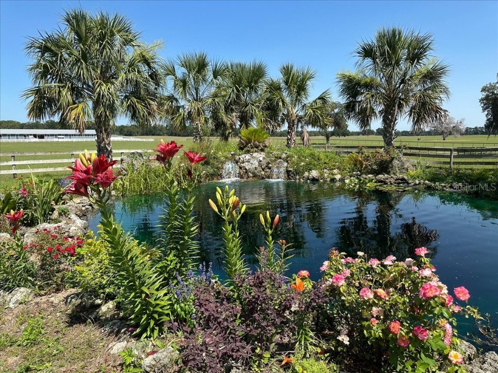 10151 NW 70th Street Chiefland FL 32626 W7879587 image78