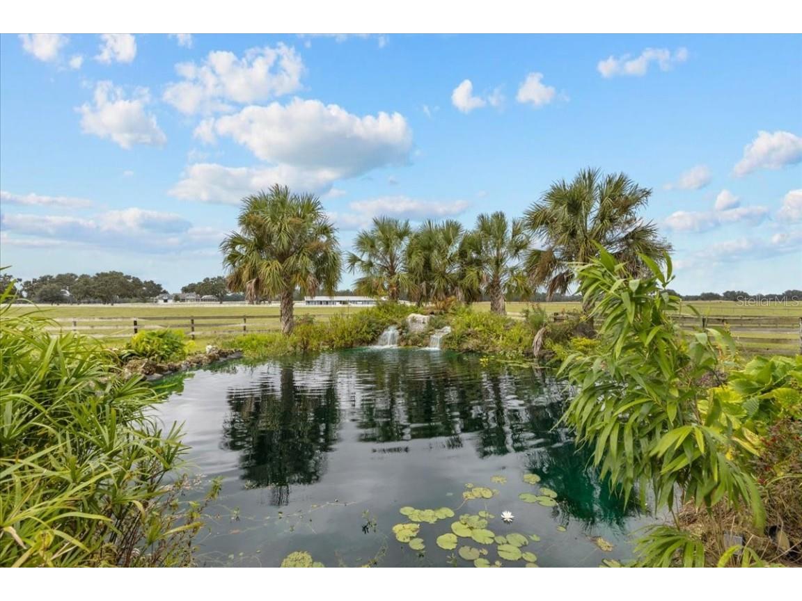 10151 NW 70th Street Chiefland FL 32626 W7879587 image79