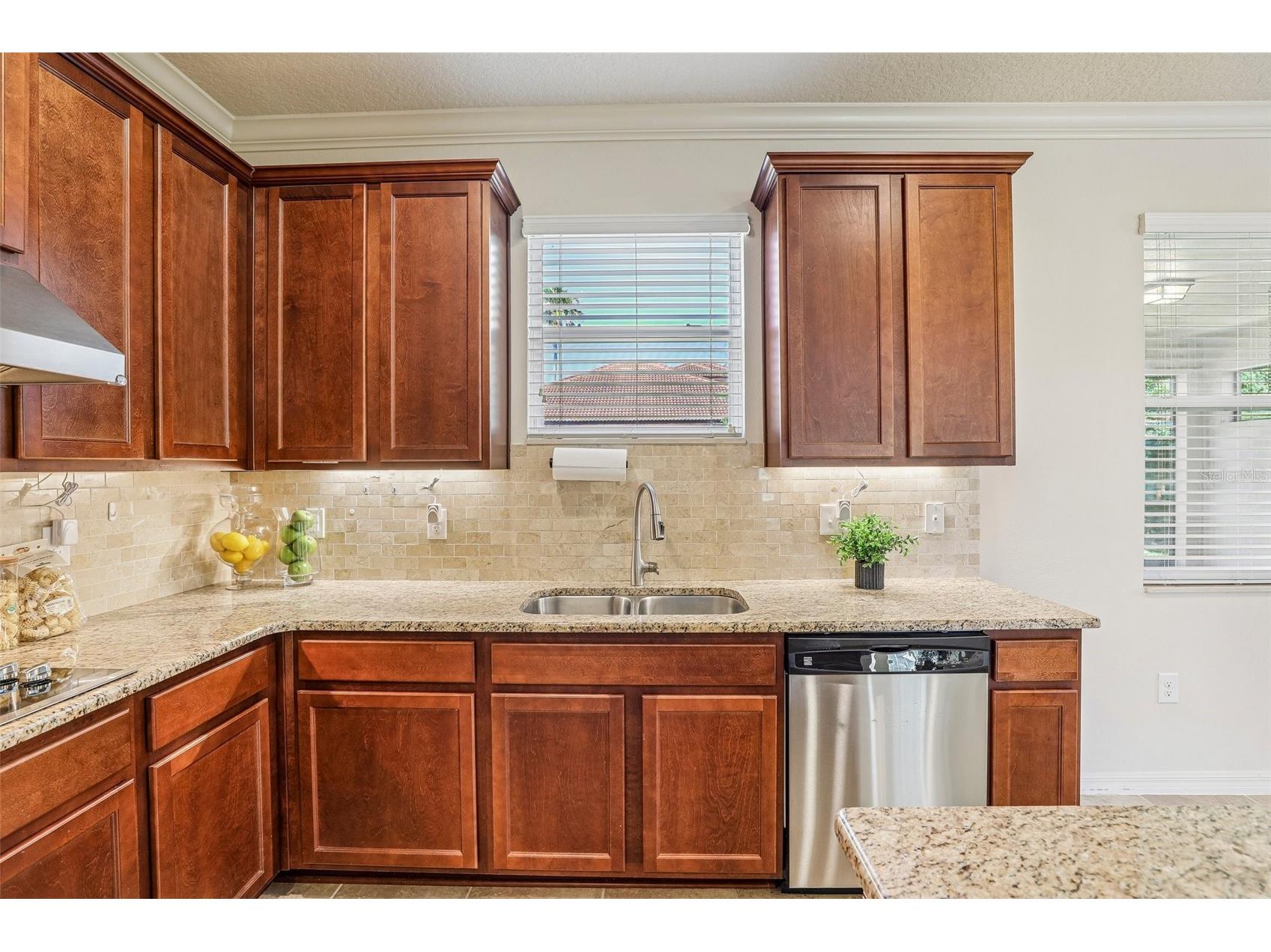 10151 Yonaomi Circle Clermont FL 34711 O6401543 image17