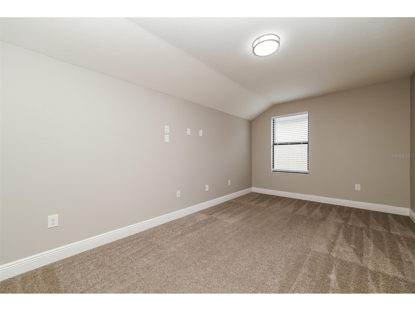 10152 Celtic Ash Drive Ruskin FL 33573 TB8508491 image17