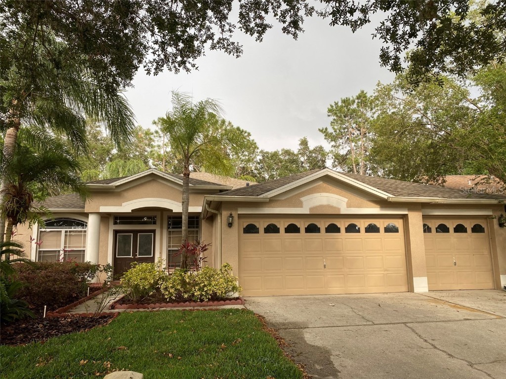 10152 Whisper Pointe Drive Tampa FL 33647 T3445915 image1