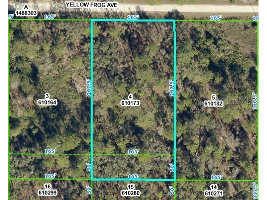 10154 Yellow Frog Avenue Weeki Wachee FL 34614 W7857652 image1