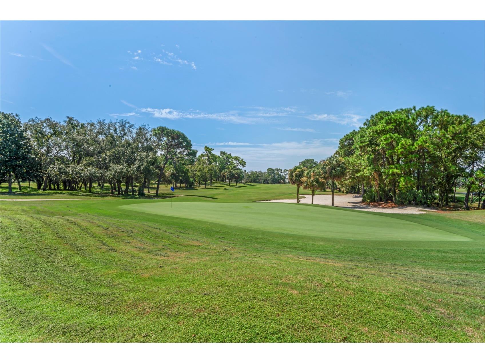 10155 Duffy Circle Weeki Wachee FL 34613 W7875845 image86