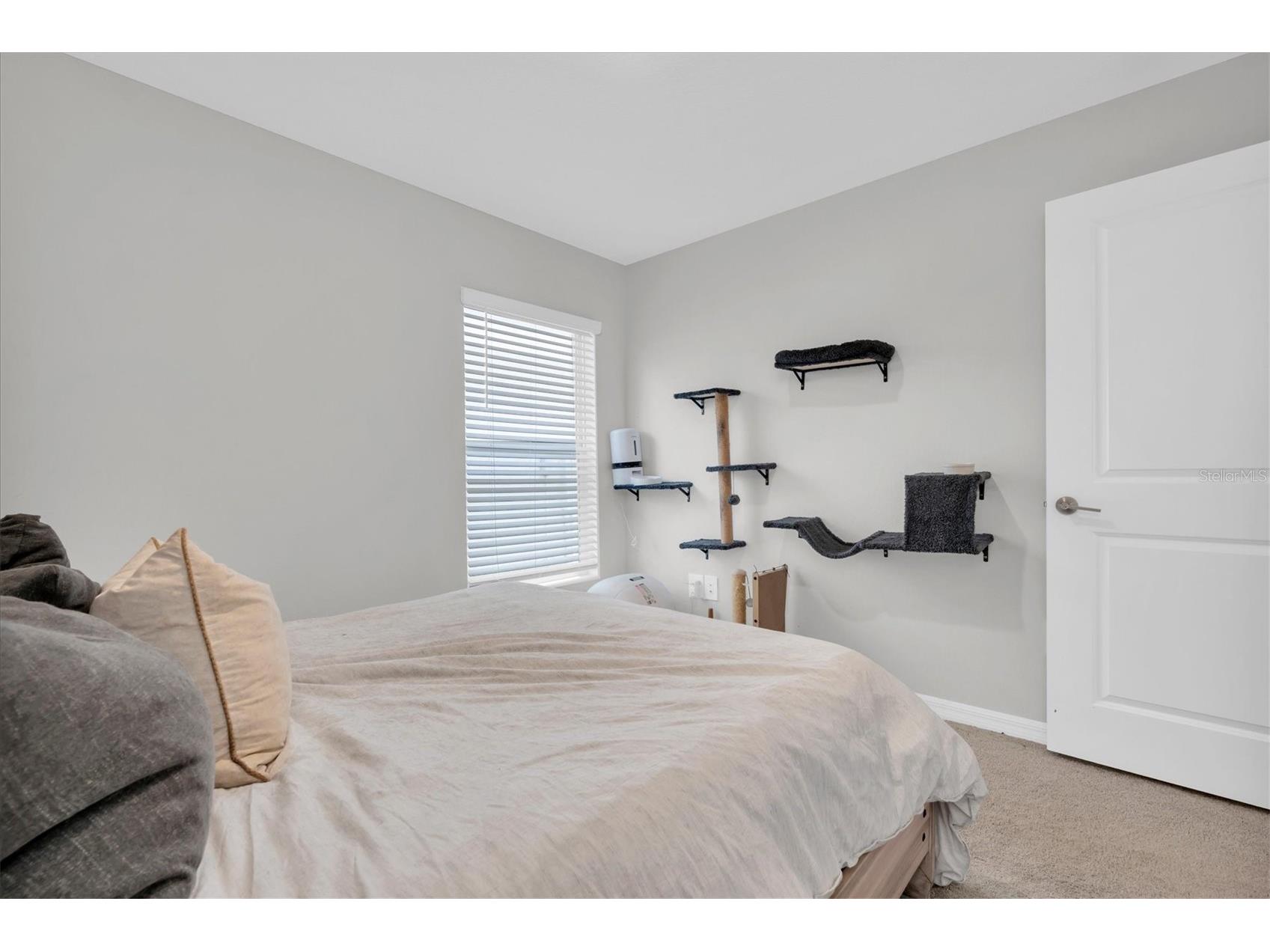 10155 Gentle Rain Drive Land O Lakes FL 34638 TB8506966 image19