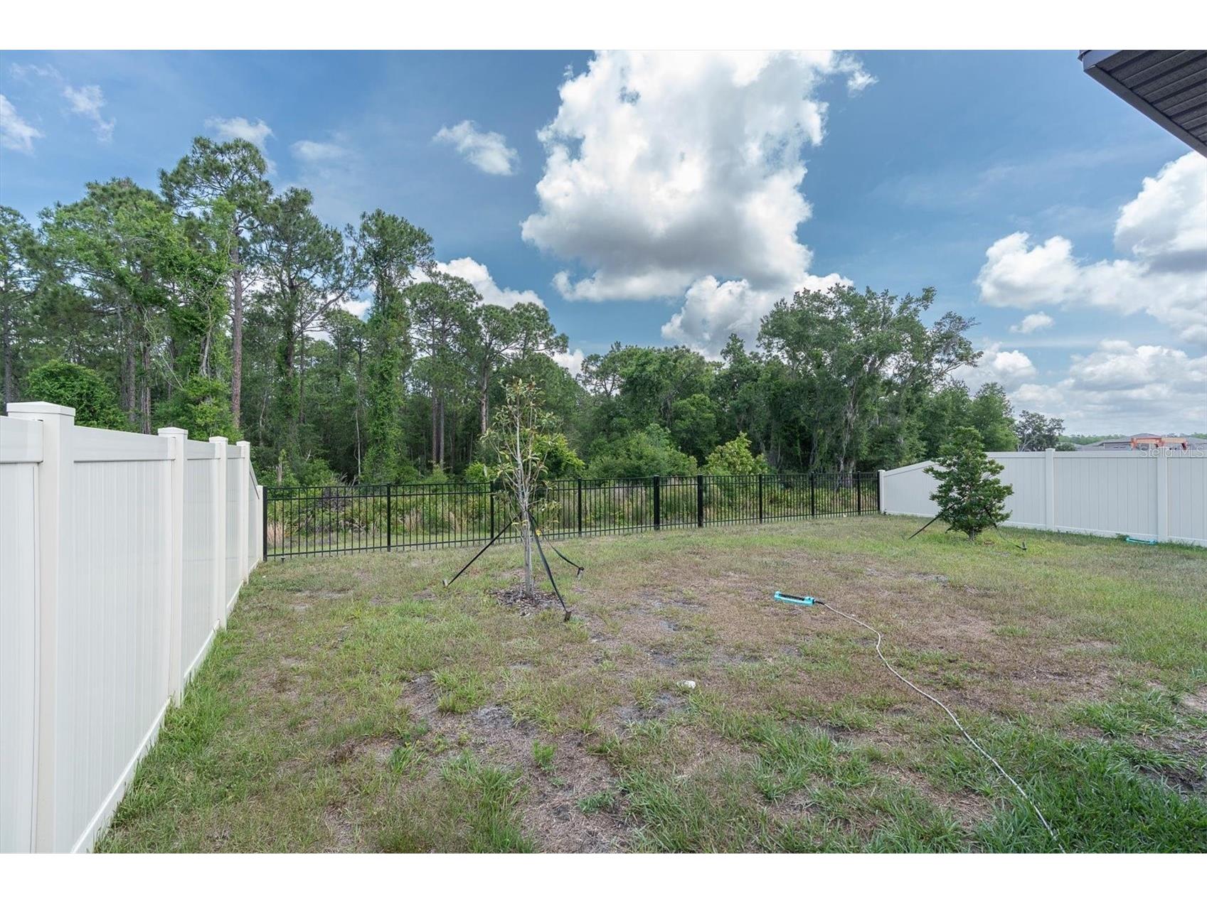 10155 Gentle Rain Drive Land O Lakes FL 34638 TB8506966 image24