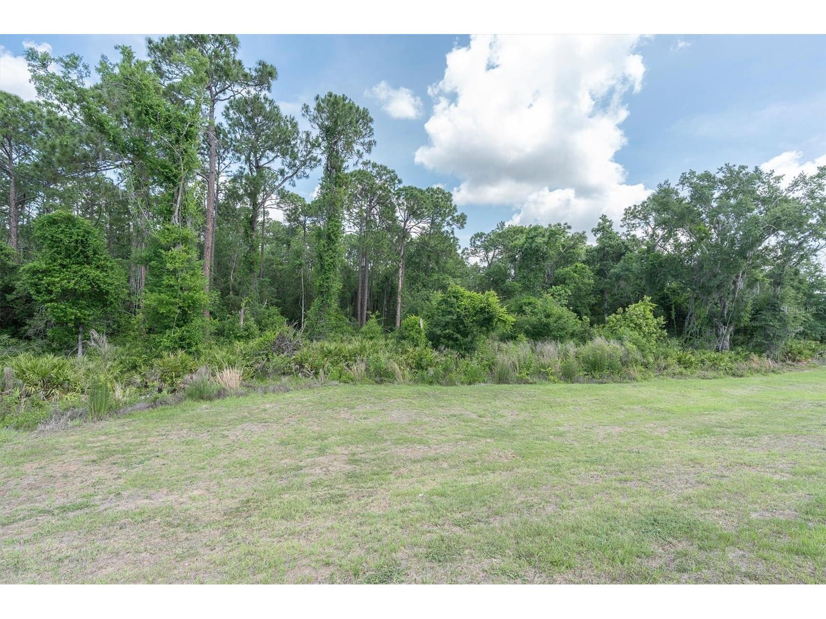 10155 Gentle Rain Drive Land O Lakes FL 34638 TB8506966 image25