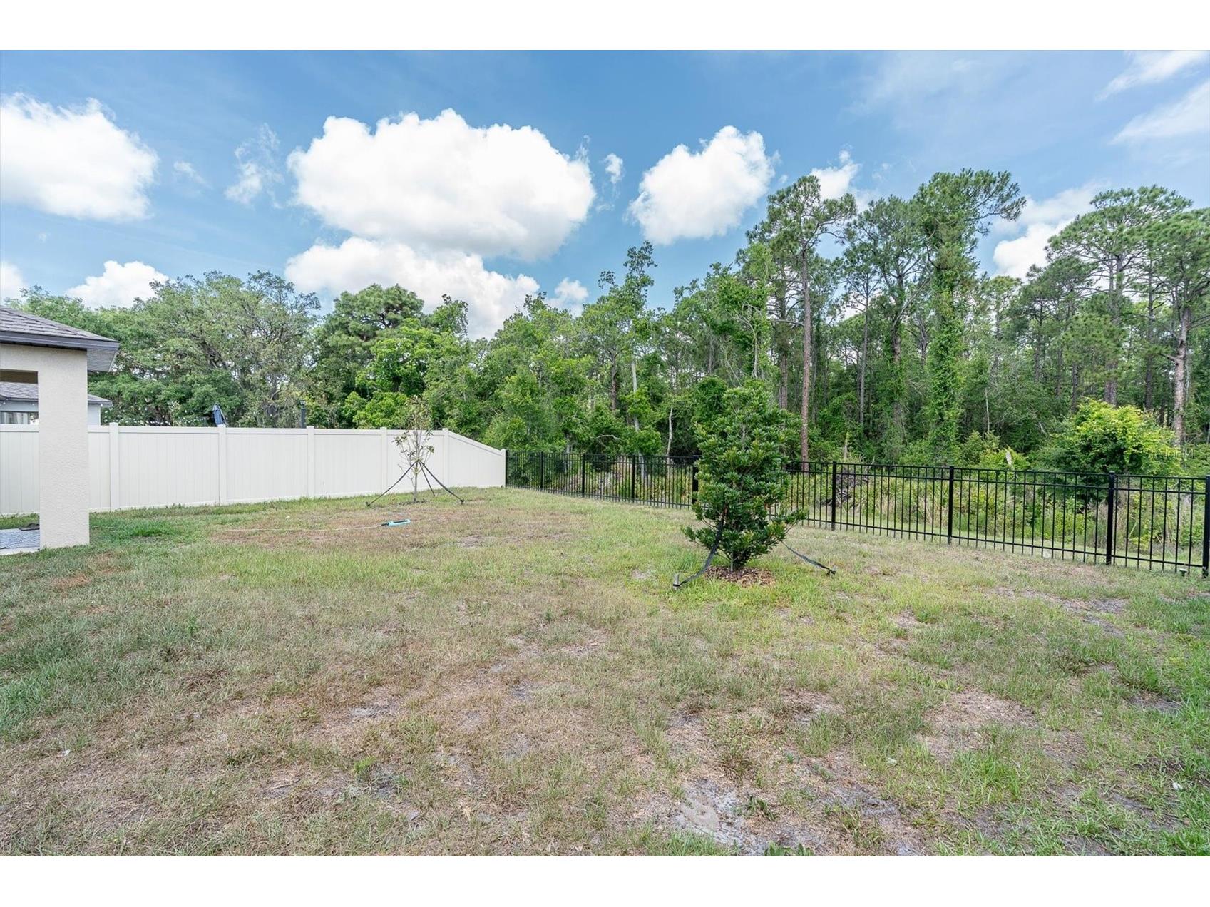 10155 Gentle Rain Drive Land O Lakes FL 34638 TB8506966 image26