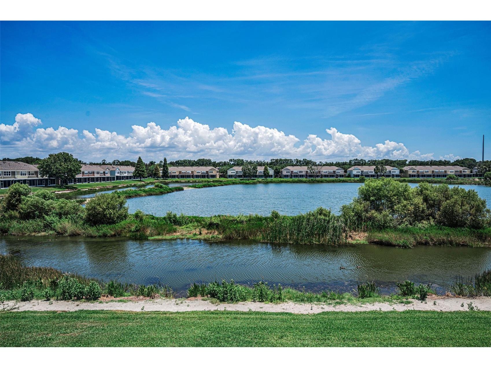 10155 Haverhill Ridge Drive Riverview FL 33578 TB8522839 image15