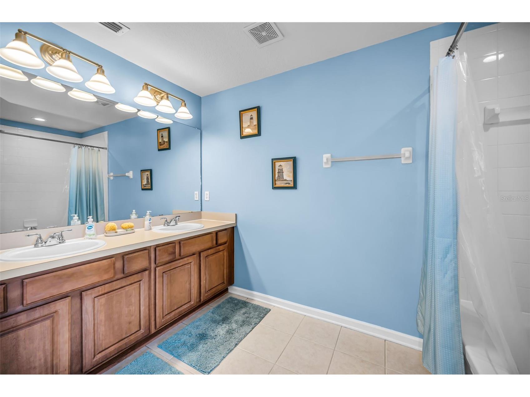 10155 Haverhill Ridge Drive Riverview FL 33578 TB8522839 image17