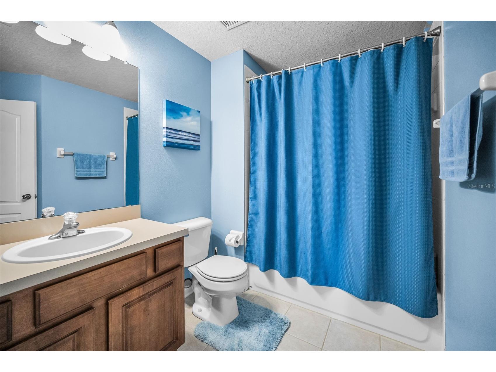 10155 Haverhill Ridge Drive Riverview FL 33578 TB8522839 image20