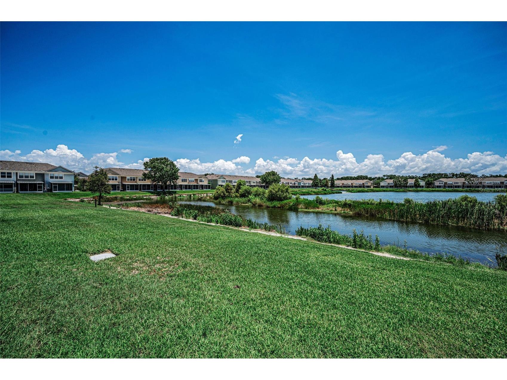 10155 Haverhill Ridge Drive Riverview FL 33578 TB8522839 image26