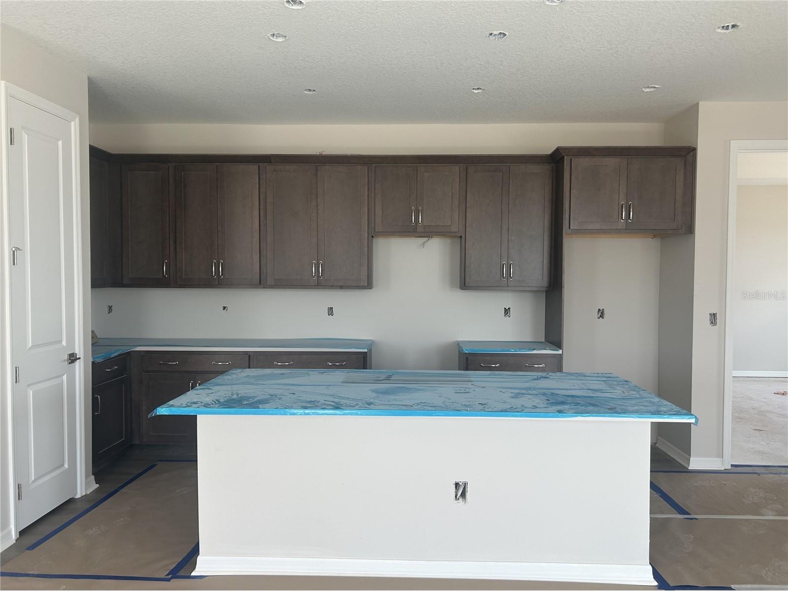 10155 Hidden Hammock Loop Parrish FL 34219 TB8495638 image17