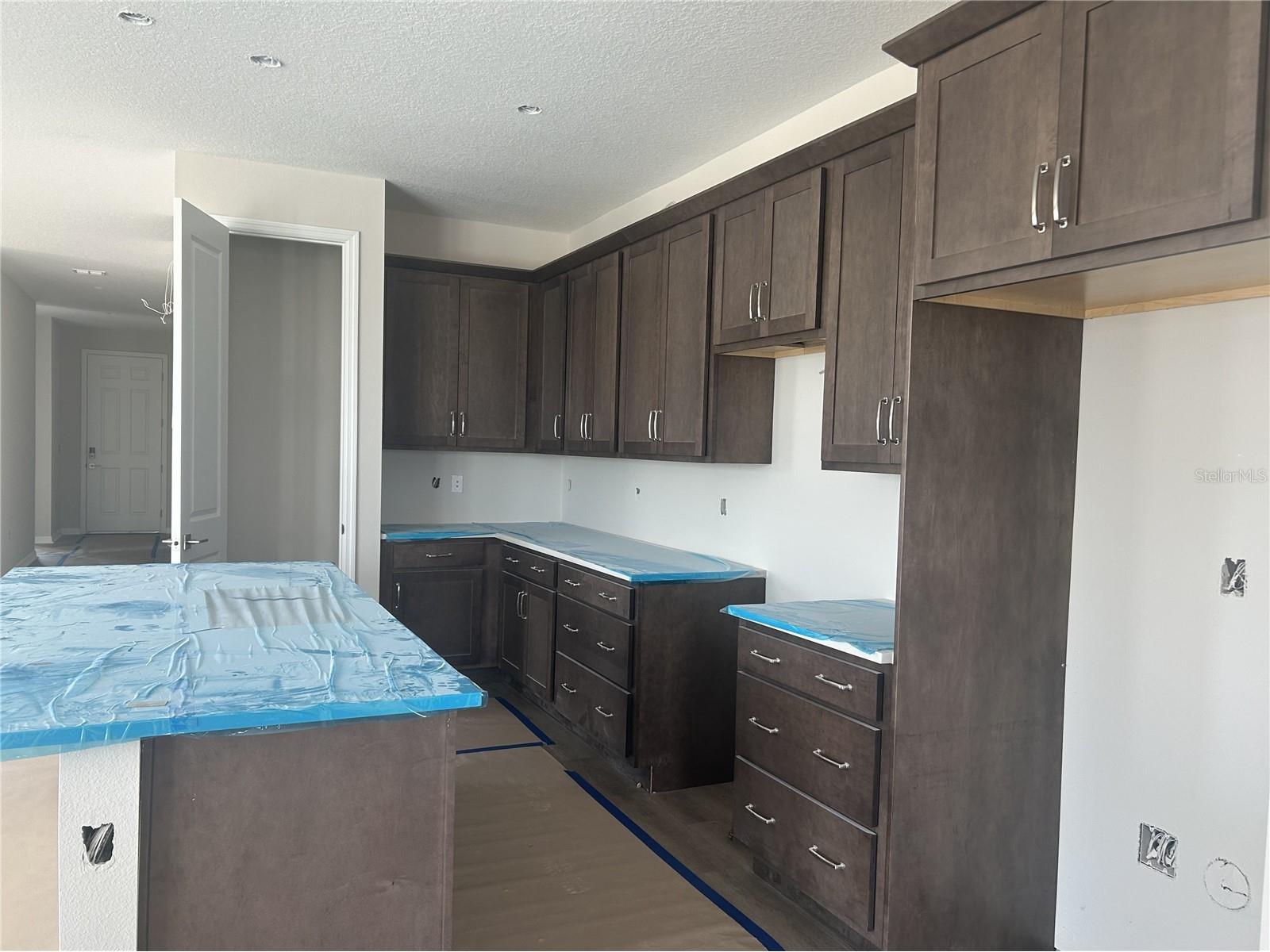 10155 Hidden Hammock Loop Parrish FL 34219 TB8495638 image18
