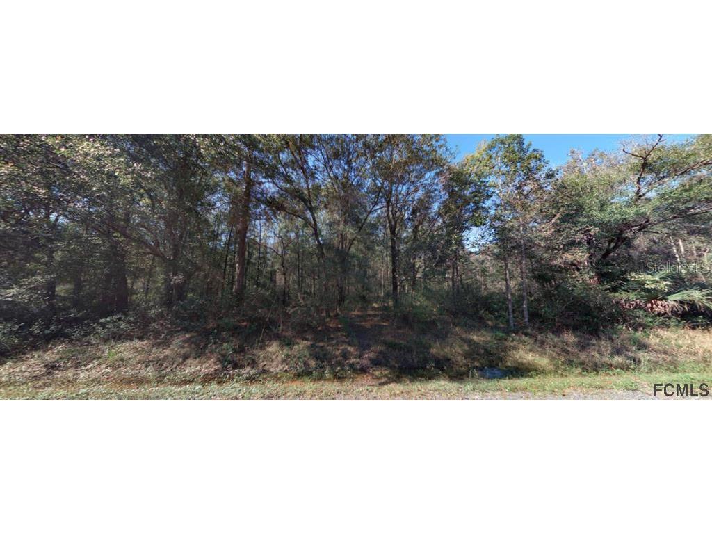 10155 Nikolich Avenue Hastings FL 32145 FC268328 image2