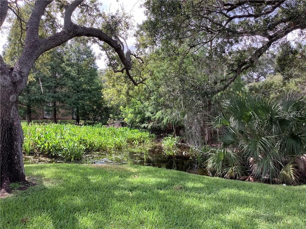 10155 Sailwinds Boulevard S #101 Largo FL 33773 - LAKE SEMINOLE TB8443933 image36