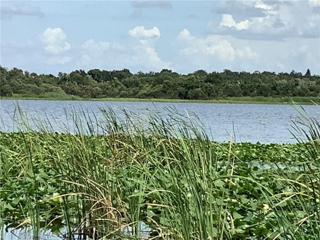 10155 Sailwinds Boulevard S #101 Largo FL 33773 - LAKE SEMINOLE TB8443933 image43