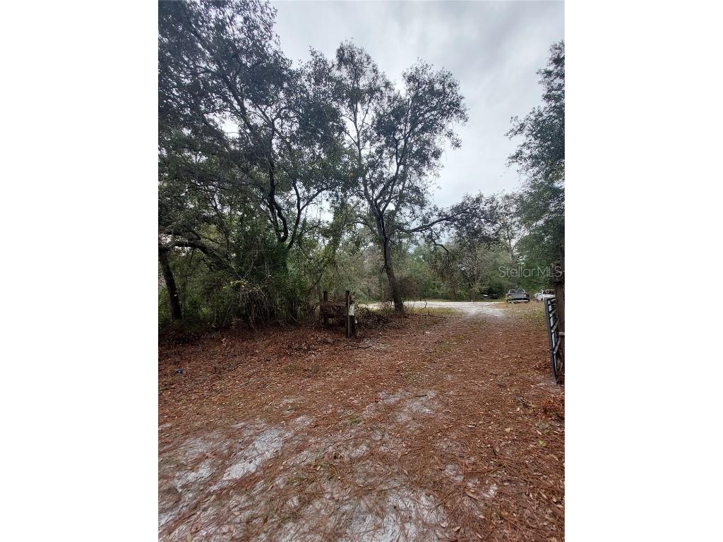 10155 SW 158 Lane Dunnellon FL 34432 OM649080 image1