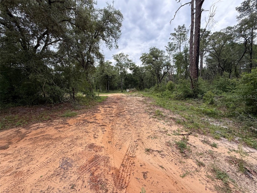 10155 SW 158th Lane Dunnellon FL 34432 S5126929 image1