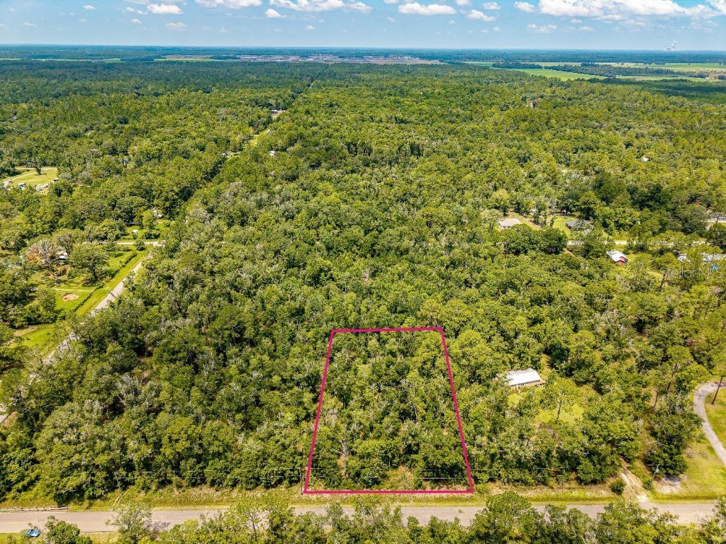 10155 Turpin Avenue Hastings FL 32145 TB8407244 image1