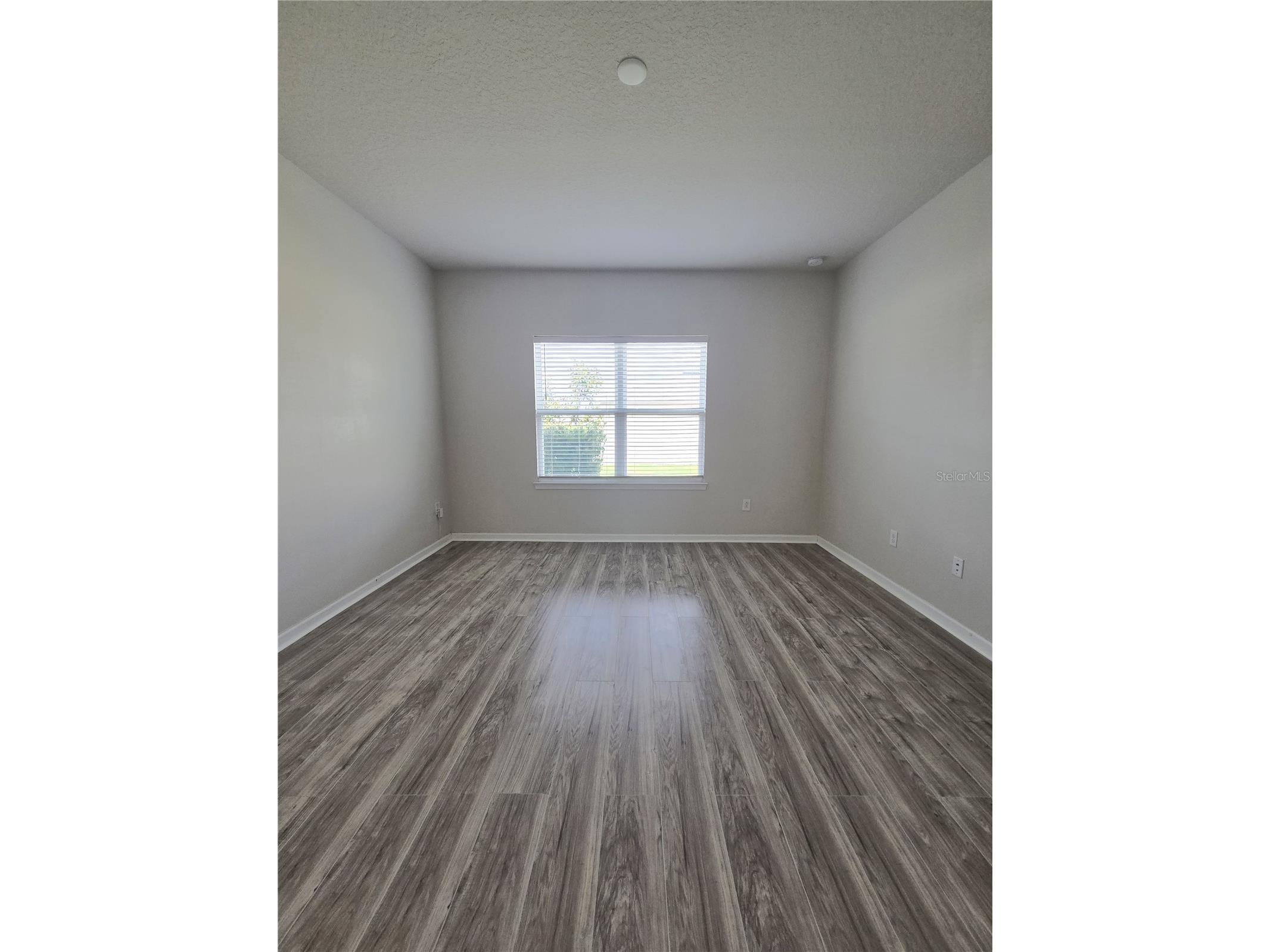10156 Agave Court Land O Lakes FL 34638 TB8512532 image19