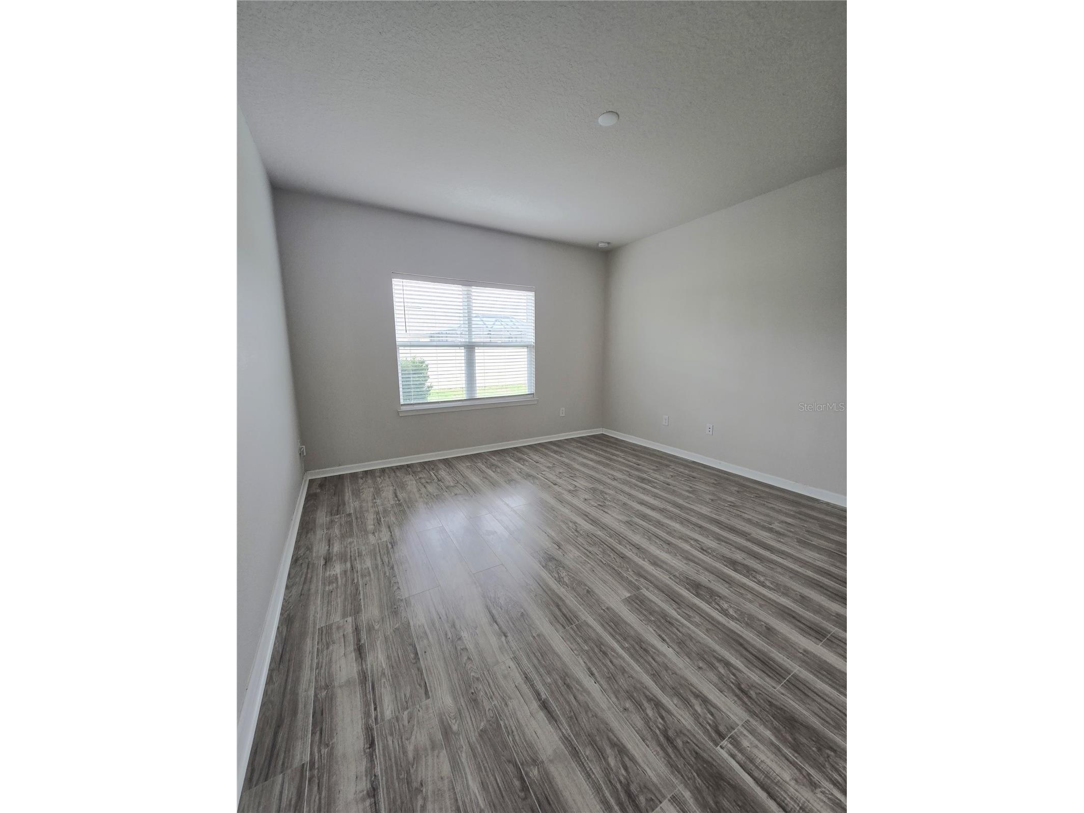 10156 Agave Court Land O Lakes FL 34638 TB8512532 image21