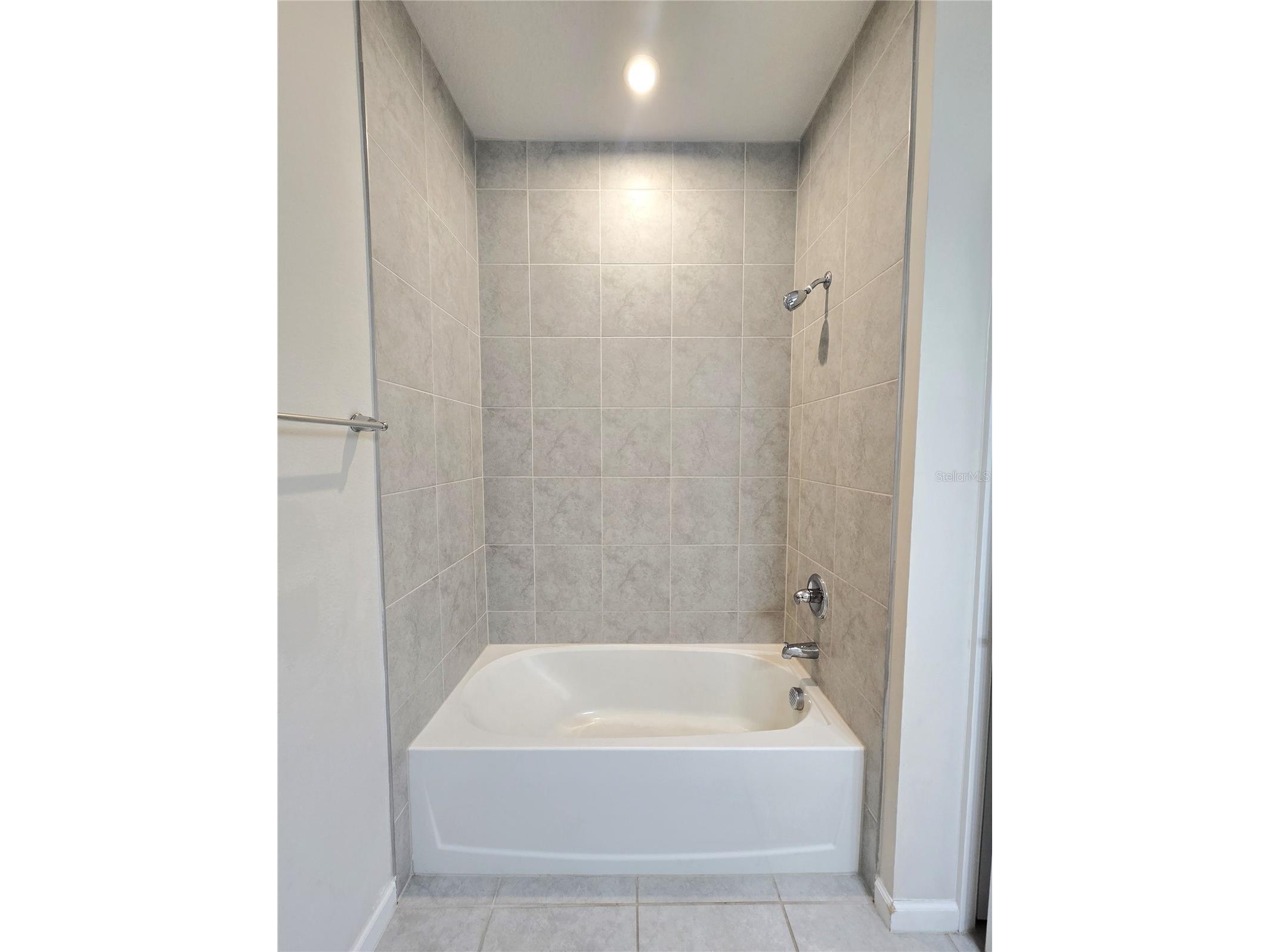 10156 Agave Court Land O Lakes FL 34638 TB8512532 image32