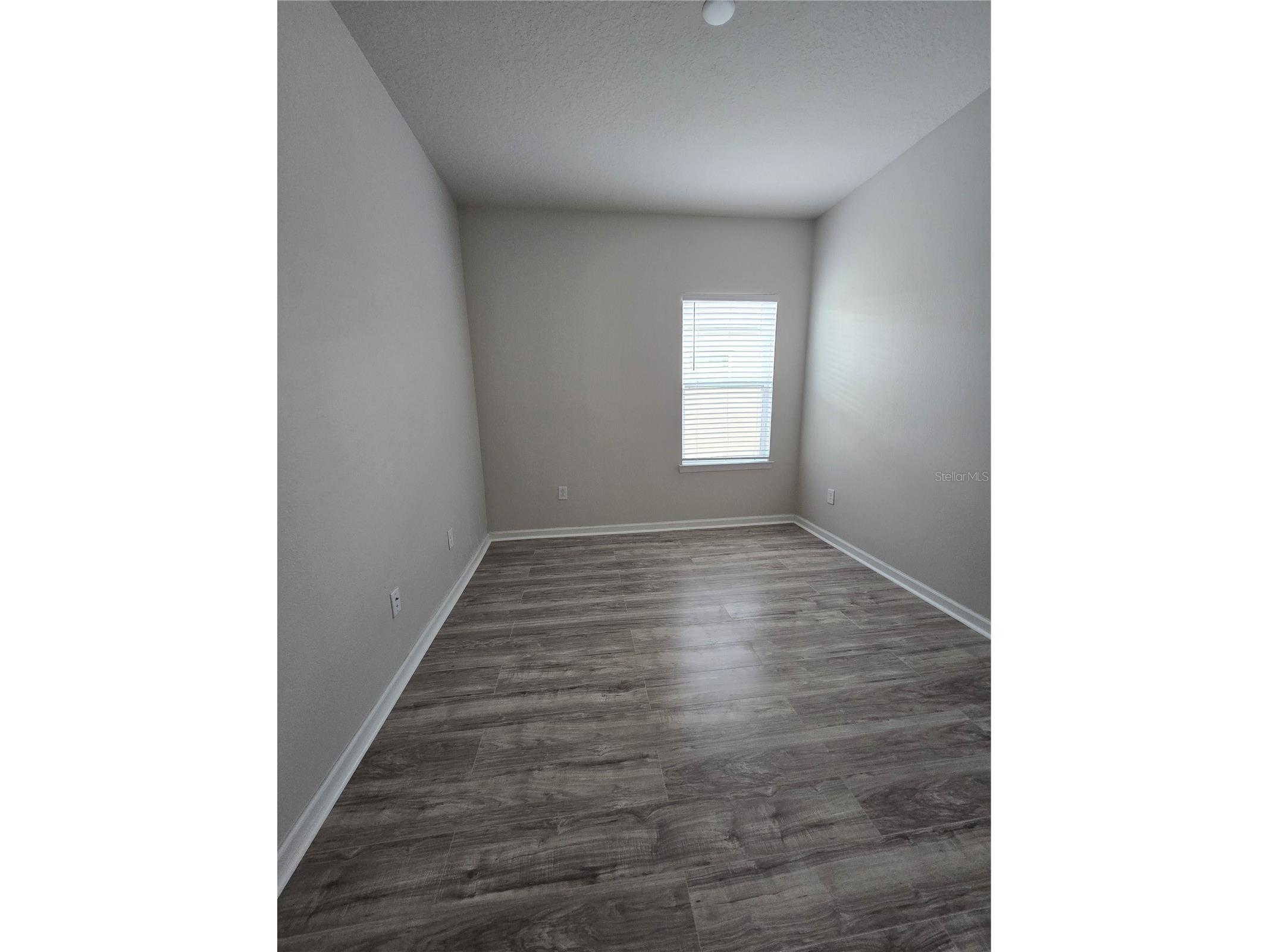 10156 Agave Court Land O Lakes FL 34638 TB8512532 image35