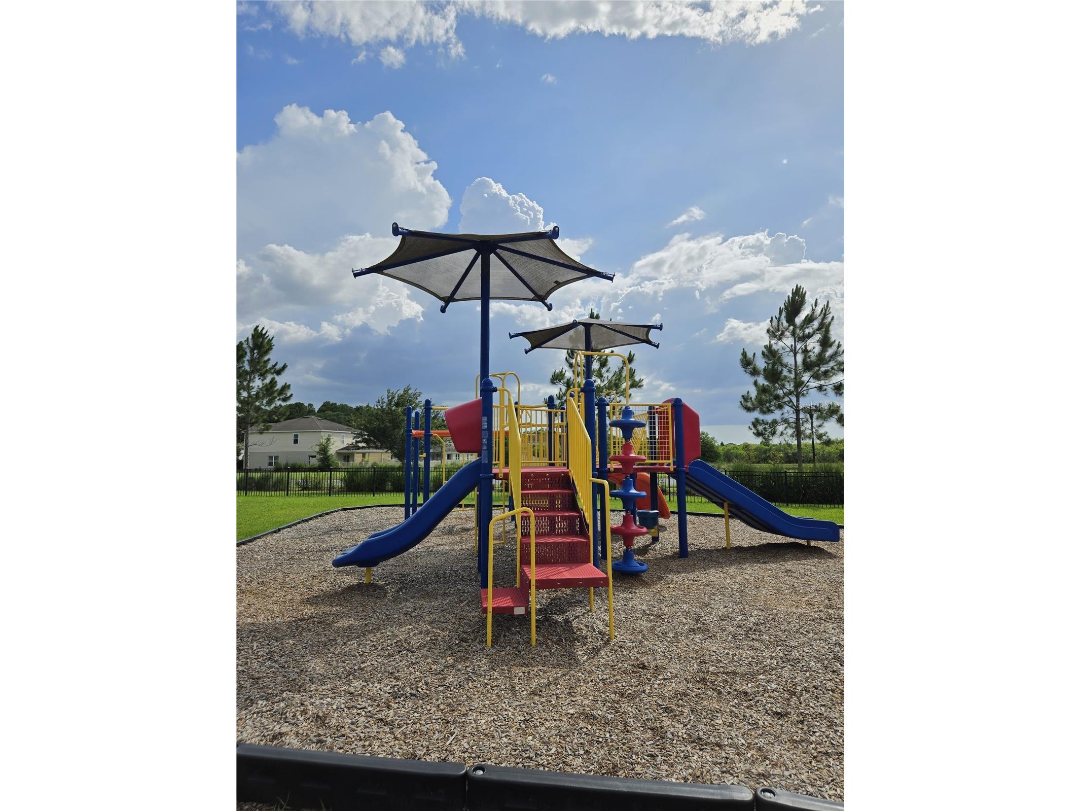 10156 Agave Court Land O Lakes FL 34638 TB8512532 image46