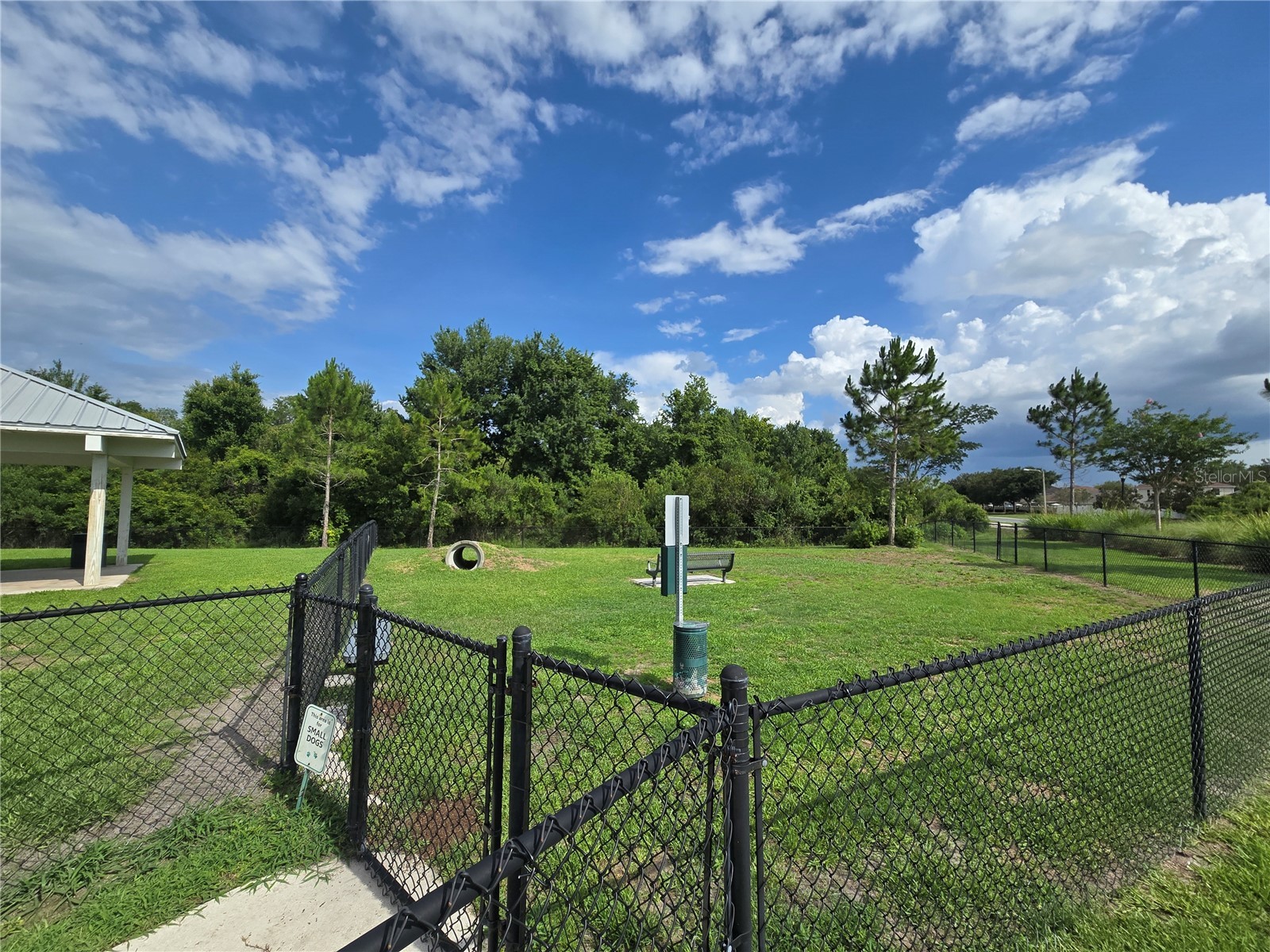 10156 Agave Court Land O Lakes FL 34638 TB8512532 image47