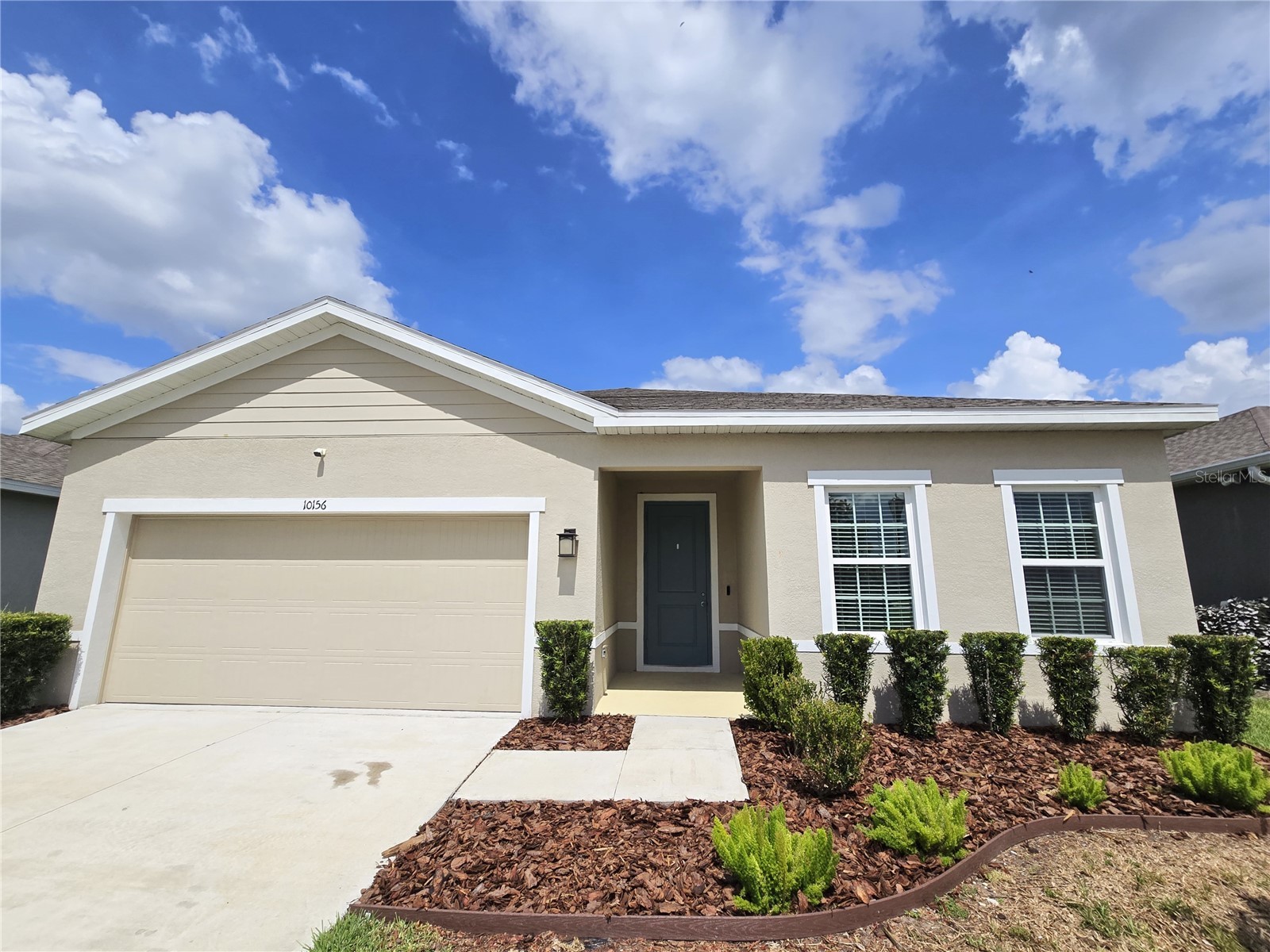 10156 Agave Court Land O Lakes FL 34638 TB8512532 image5