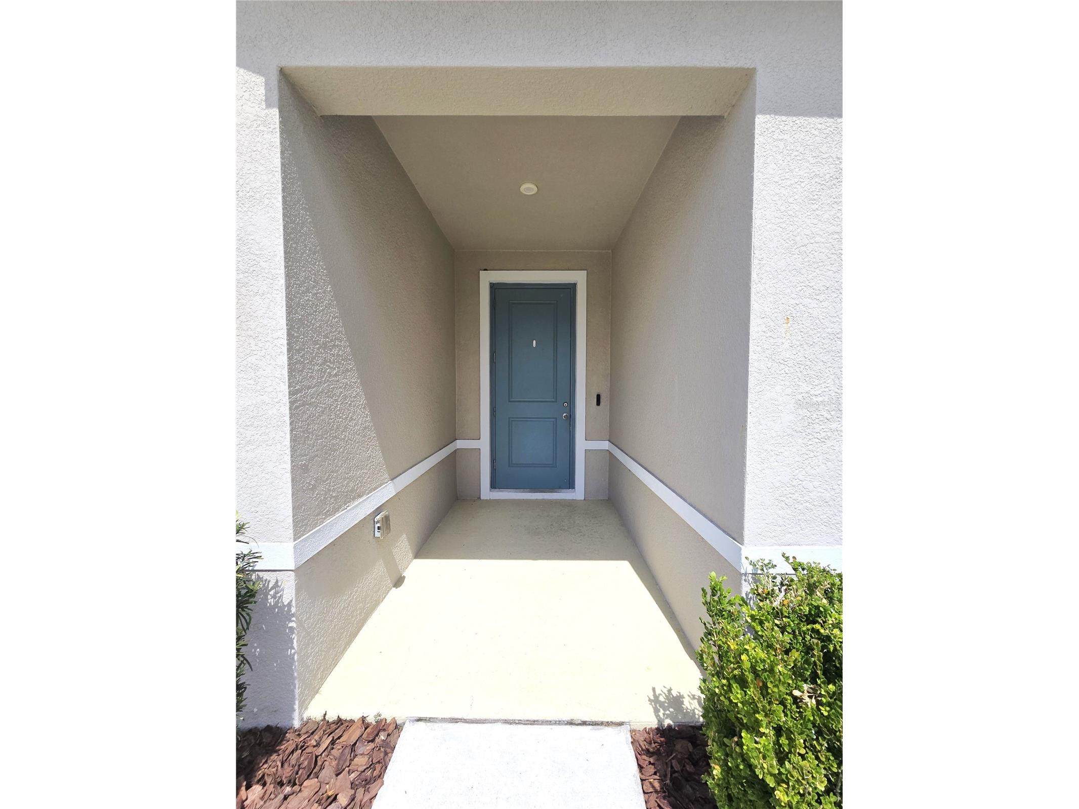 10156 Agave Court Land O Lakes FL 34638 TB8512532 image6