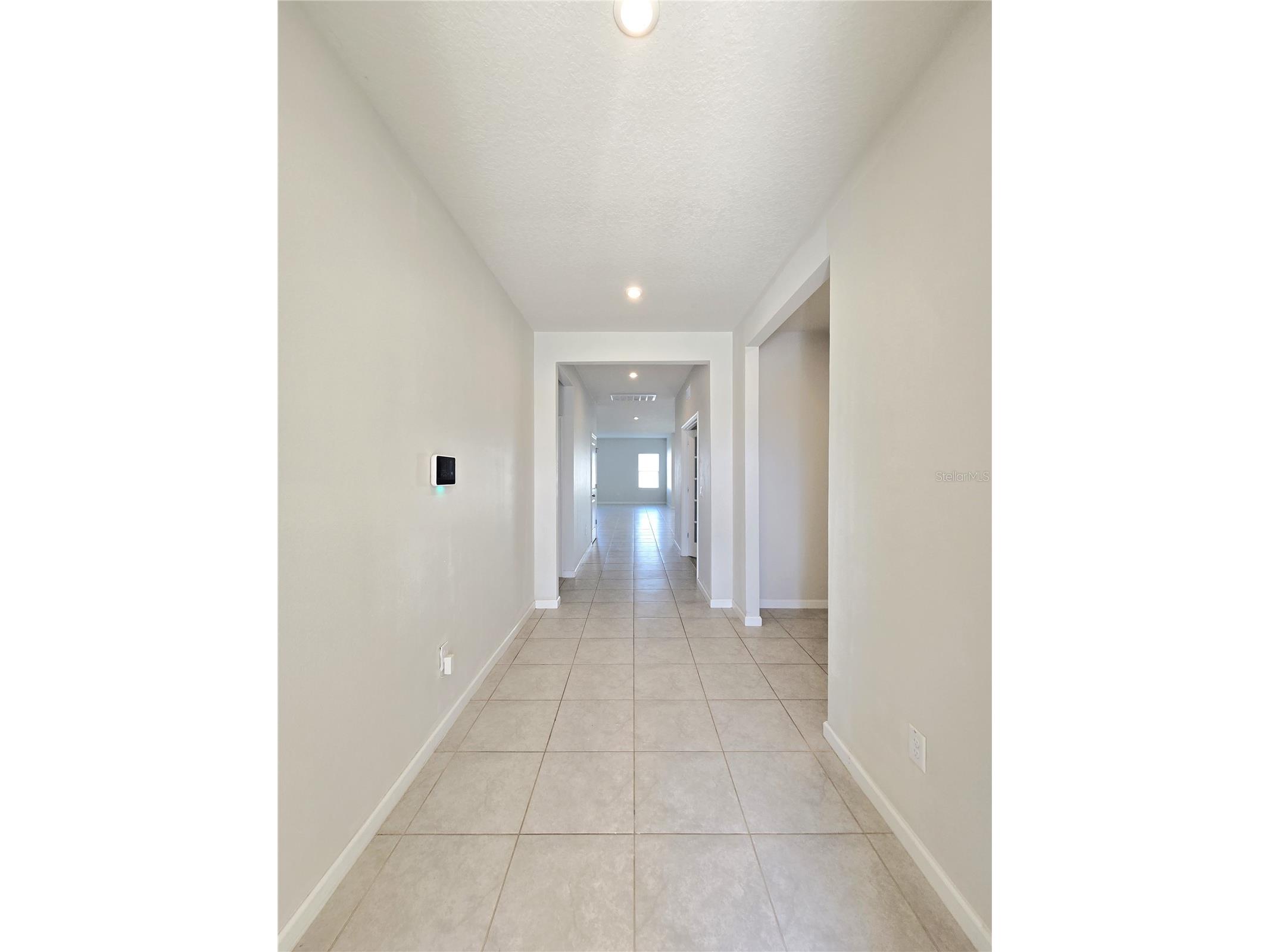 10156 Agave Court Land O Lakes FL 34638 TB8512532 image7