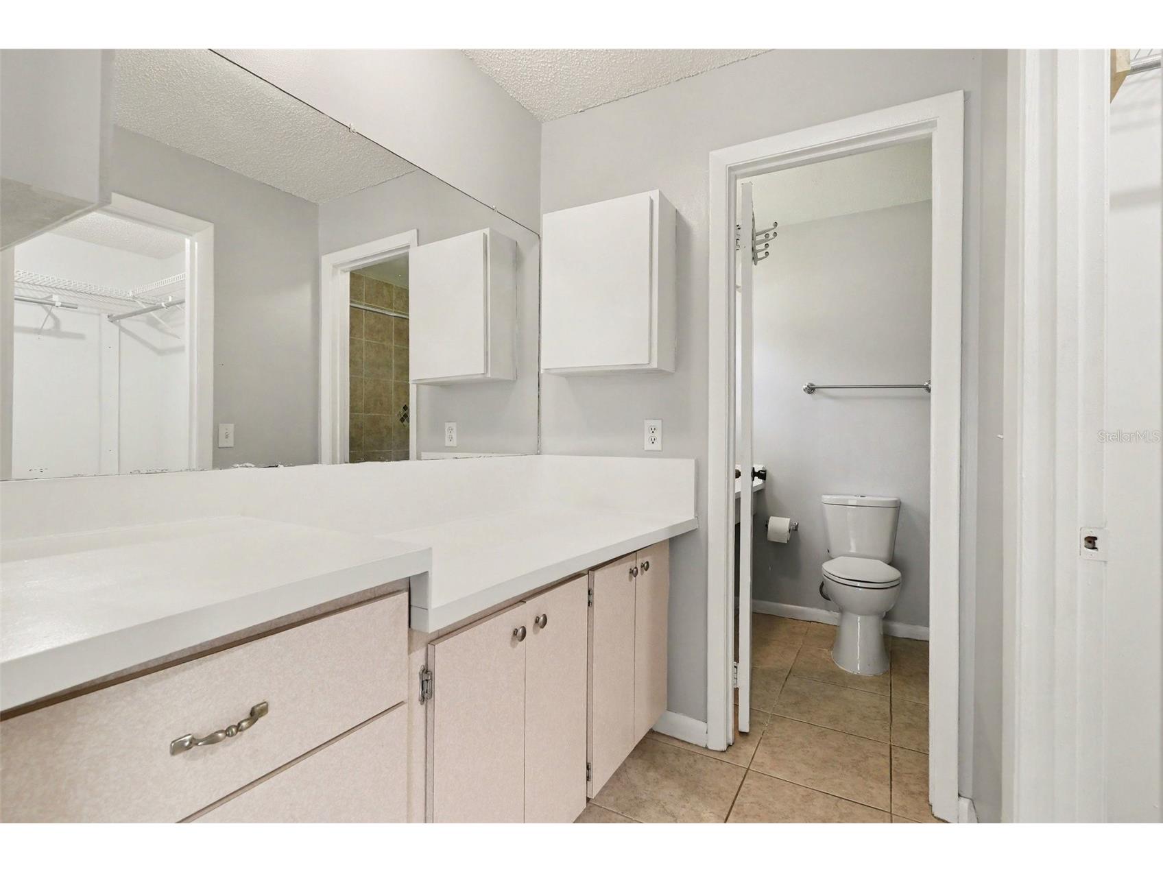10157 Bluff Court Orlando FL 32821 O6420468 image17