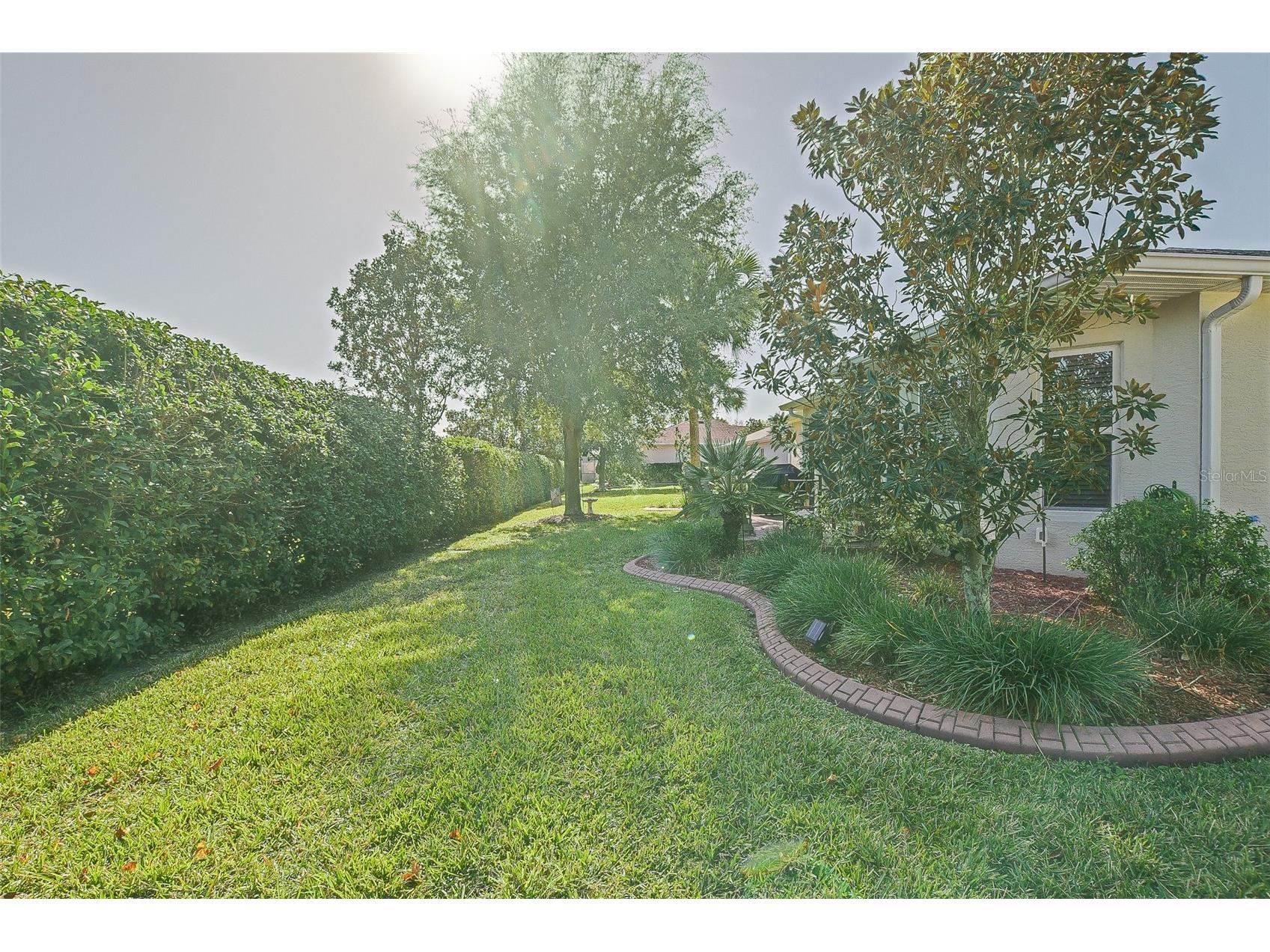 10158 Julia Isles Avenue Oxford FL 34484 - LAKE MIONA OM715516 image16