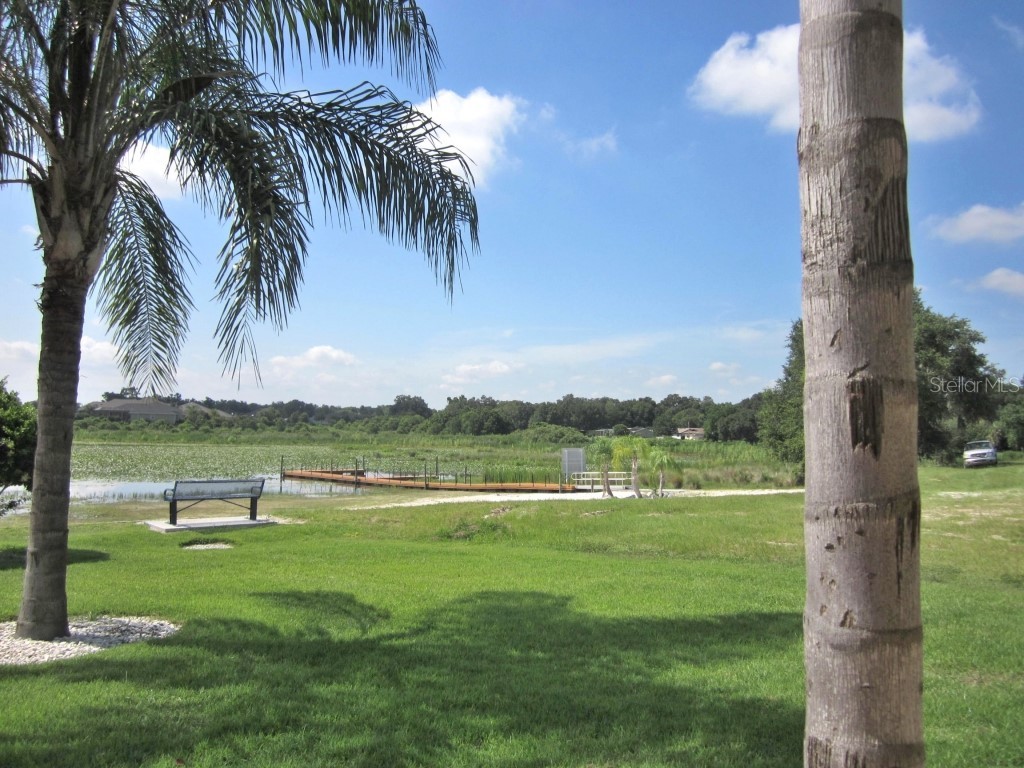 10158 Julia Isles Avenue Oxford FL 34484 - LAKE MIONA OM715516 image66