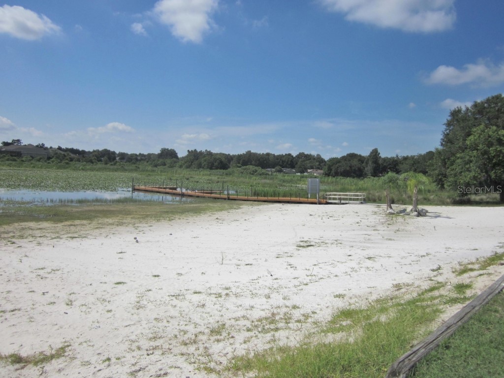 10158 Julia Isles Avenue Oxford FL 34484 - LAKE MIONA OM715516 image67