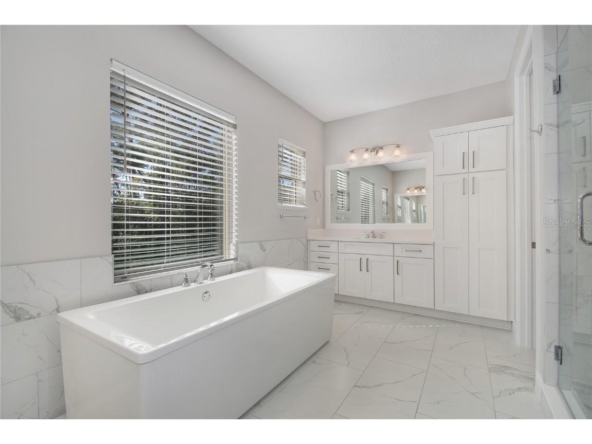 10158 Royal Island Court Orlando FL 32836 O6367916 image17