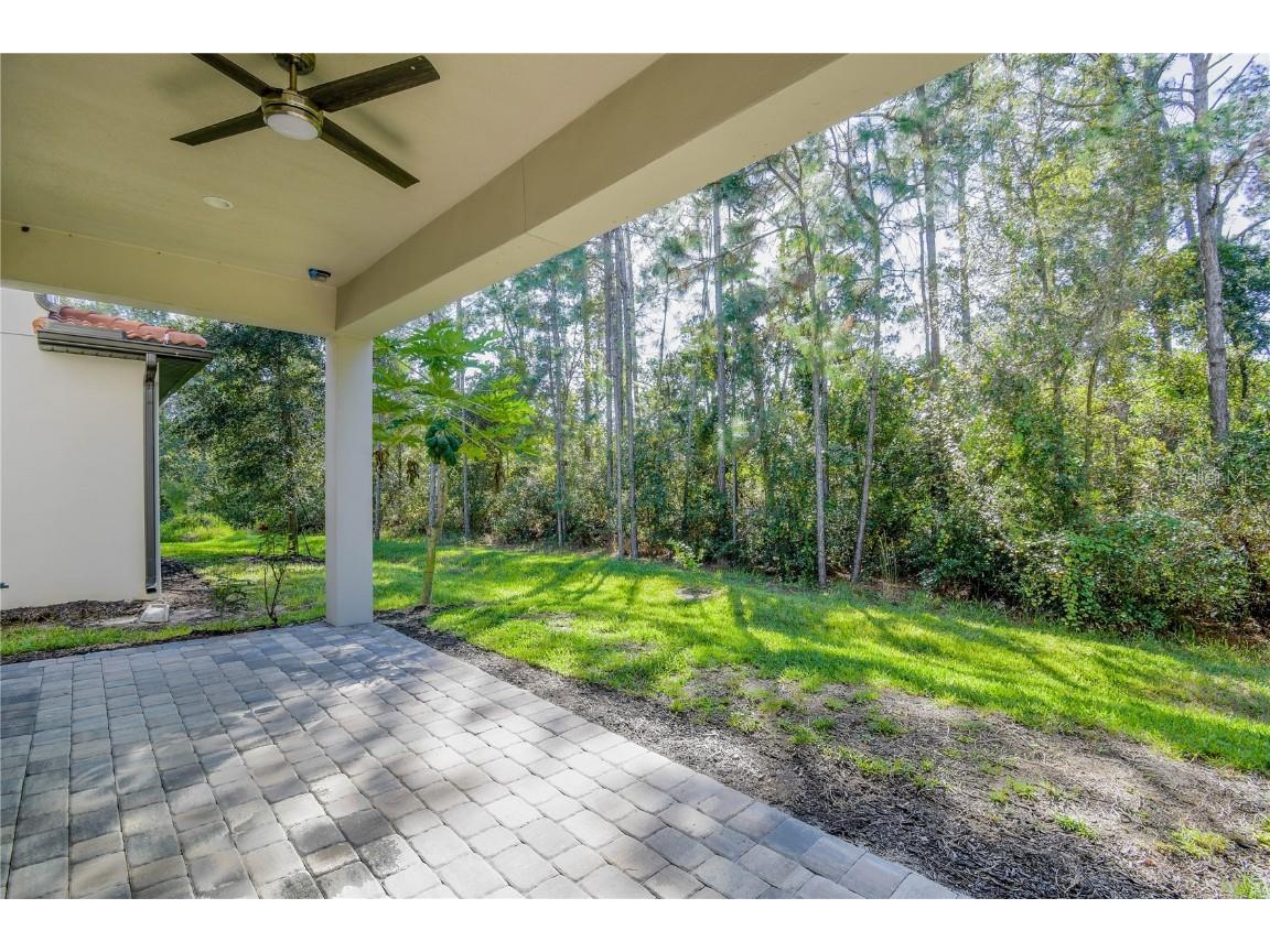 10158 Royal Island Court Orlando FL 32836 O6367916 image35