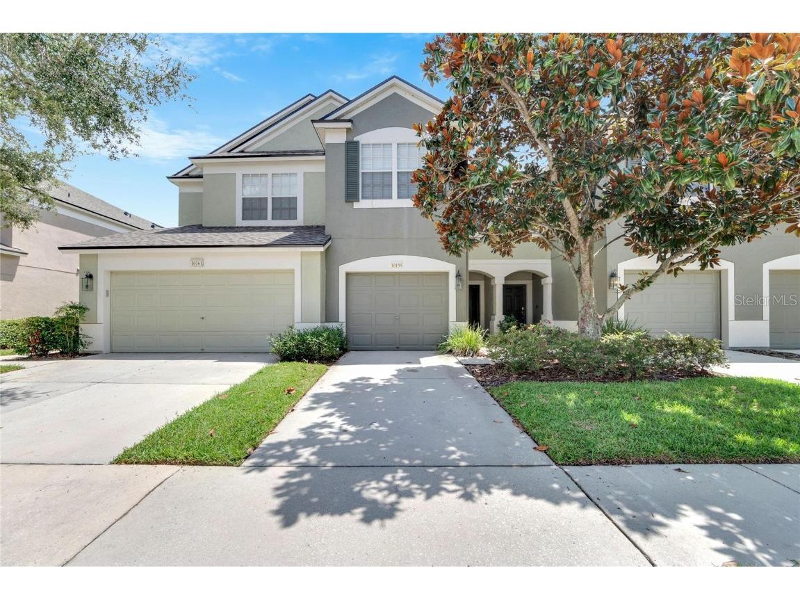 10159 Haverhill Ridge Drive Riverview FL 33578 T3449484 image1