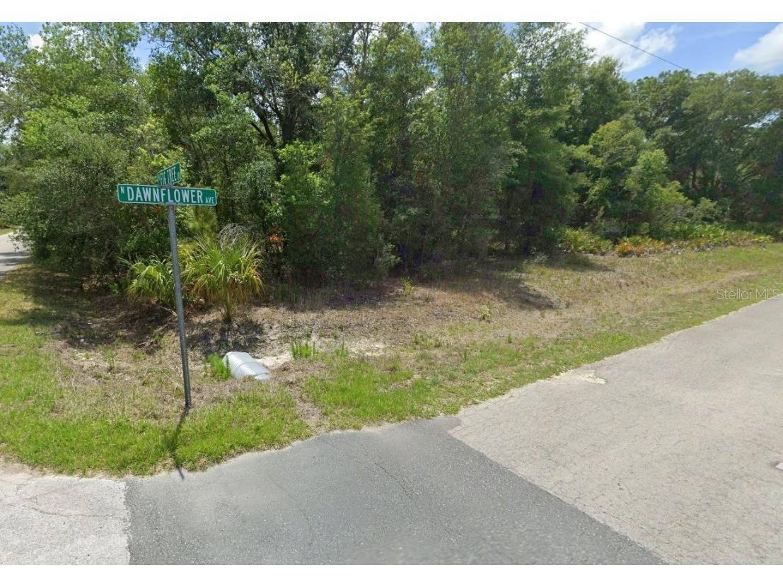 10159 N Dawnflower Avenue Crystal River FL 34428 P4928911 image1