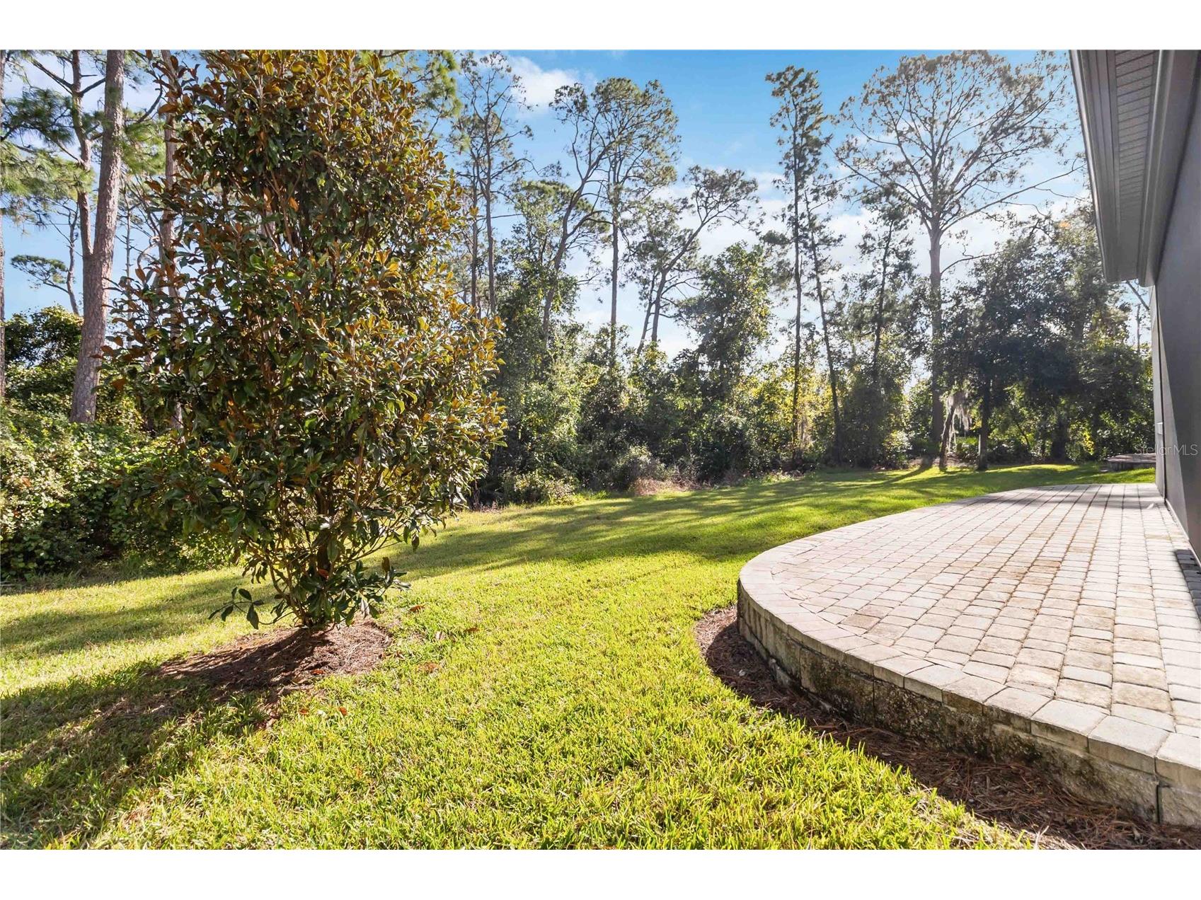 10159 Royal Island Court Orlando FL 32836 O6254546 image43