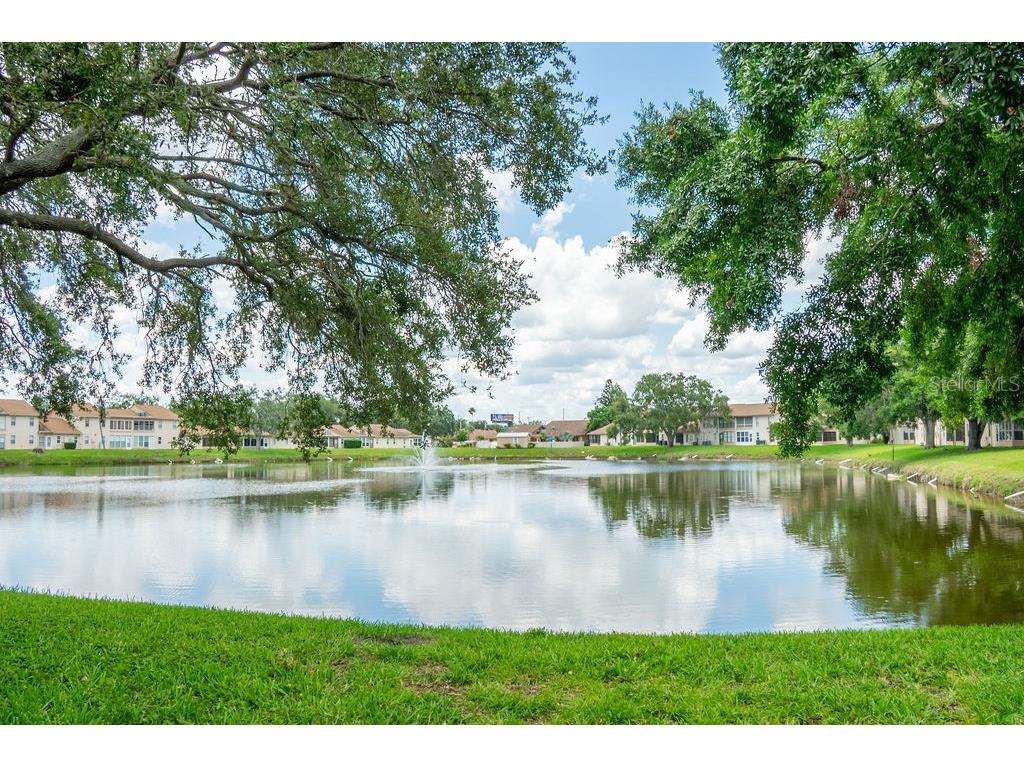 1016 Bowsprit Lane Holiday FL 34691 W7877262 image17