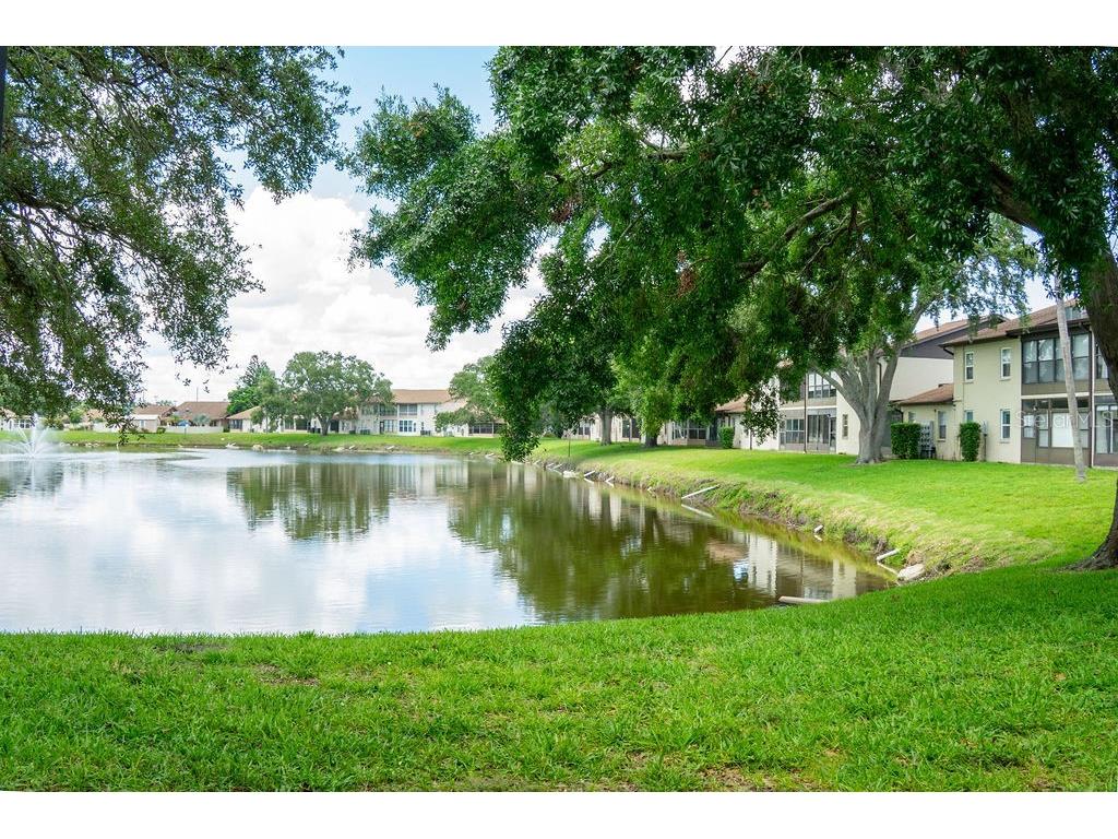 1016 Bowsprit Lane Holiday FL 34691 W7877262 image5