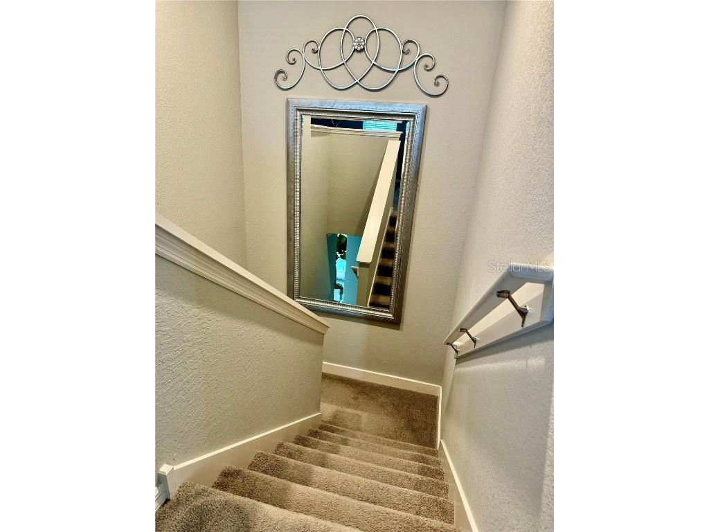 1016 Cascade Drive Davenport FL 33837 S5128698 image27