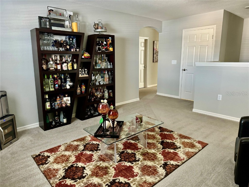 1016 Cascade Drive Davenport FL 33837 S5128698 image37