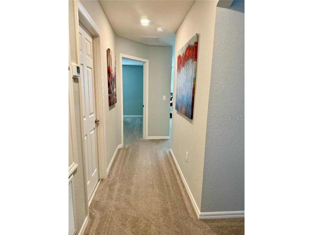 1016 Cascade Drive Davenport FL 33837 S5128698 image40