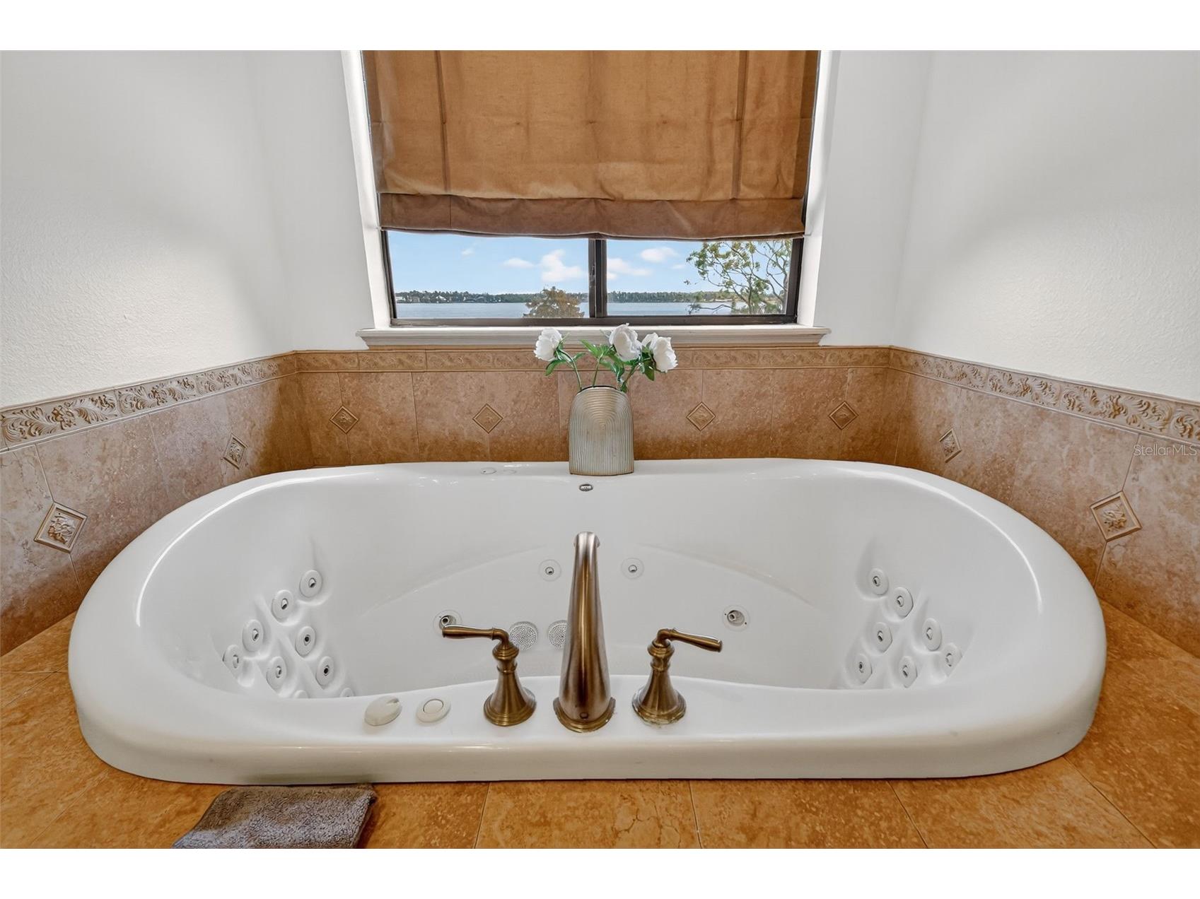 1016 Juliette Boulevard Mount Dora FL 32757 - LAKE LOCH LEVEN O6353667 image50