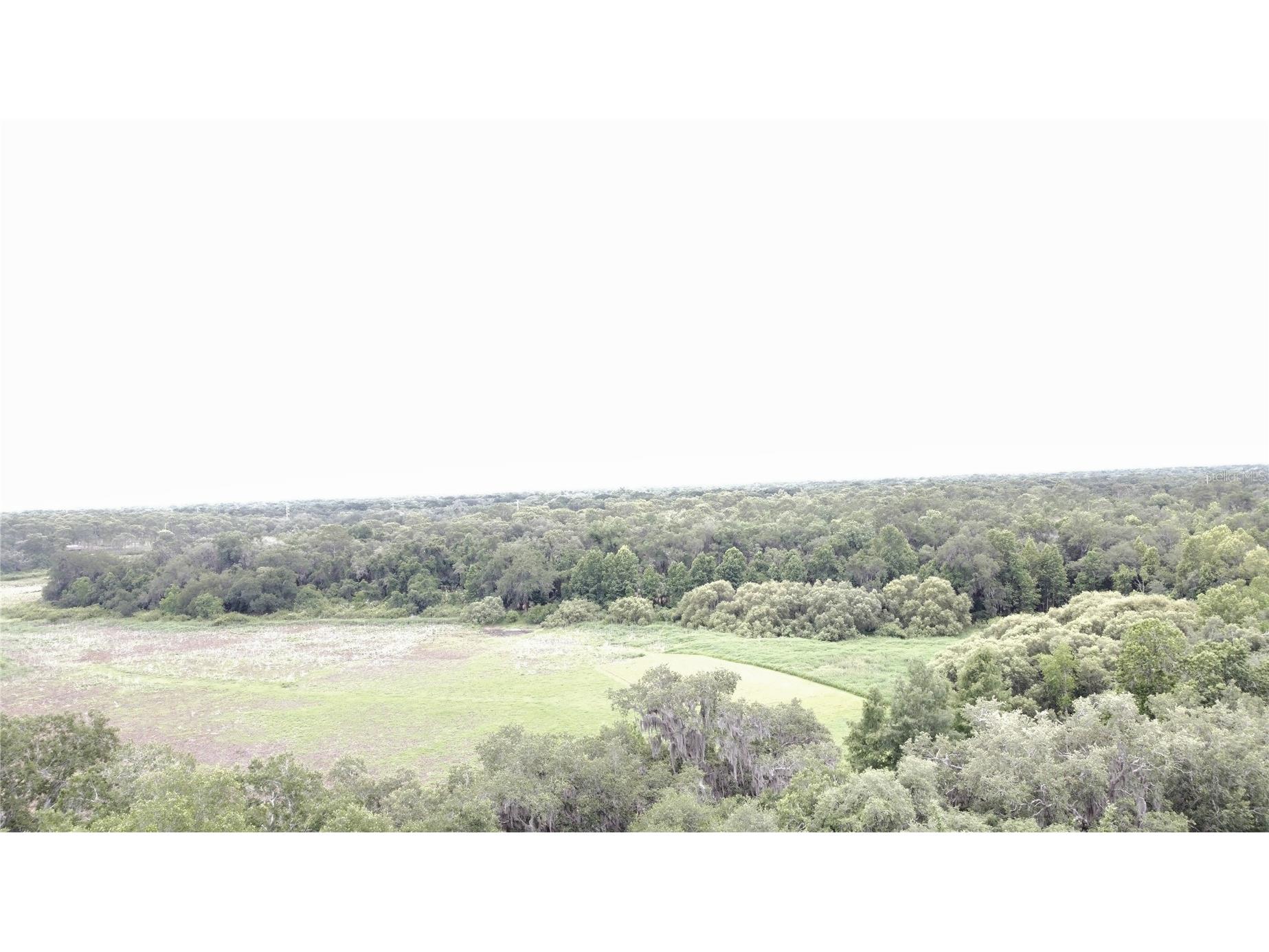 1016 Lakeside Dr. Drive Apopka FL 32712 - LAKE PREVATT O6418091 image12